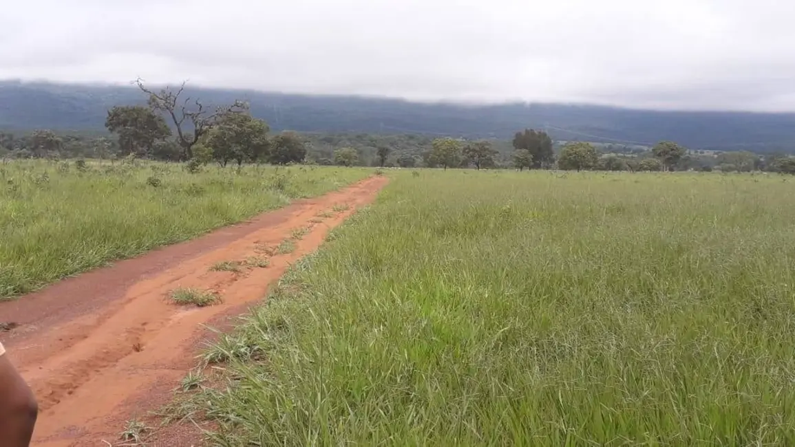 Fazenda / Haras à venda, 558m2 em Alto Paraguai - MT - imagem 3 Foto 3 de Fazenda / Haras à venda, 558m2 em Alto Paraguai - MT