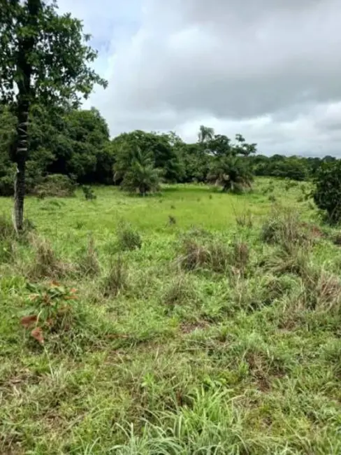 Foto 9 de Chácara à venda, 18m2 em Estrela Do Norte - GO