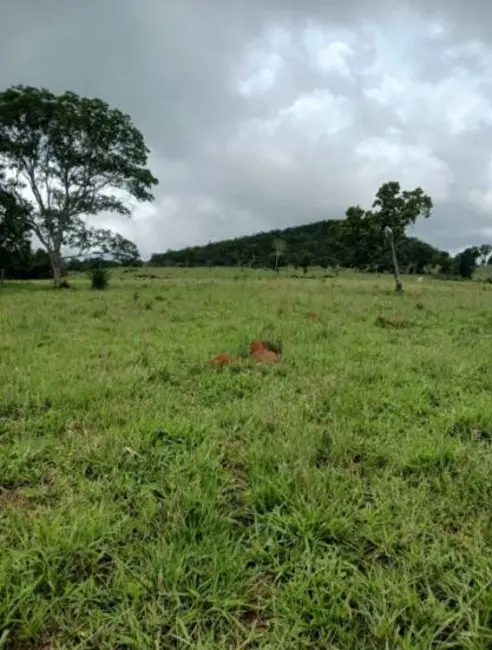 Foto 2 de Chácara à venda, 18m2 em Estrela Do Norte - GO