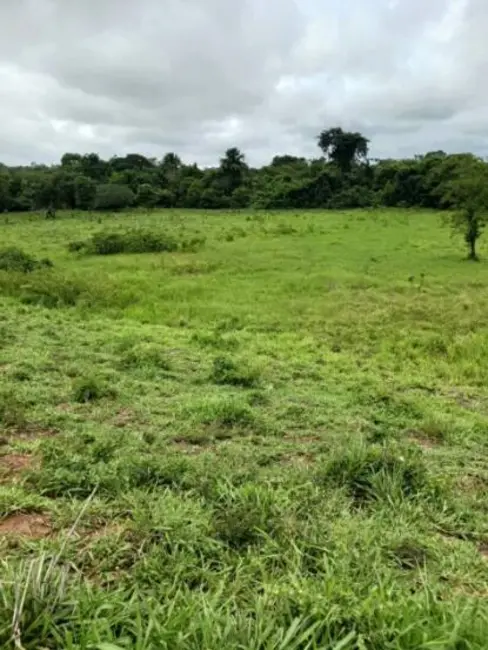 Foto 4 de Chácara à venda, 18m2 em Estrela Do Norte - GO