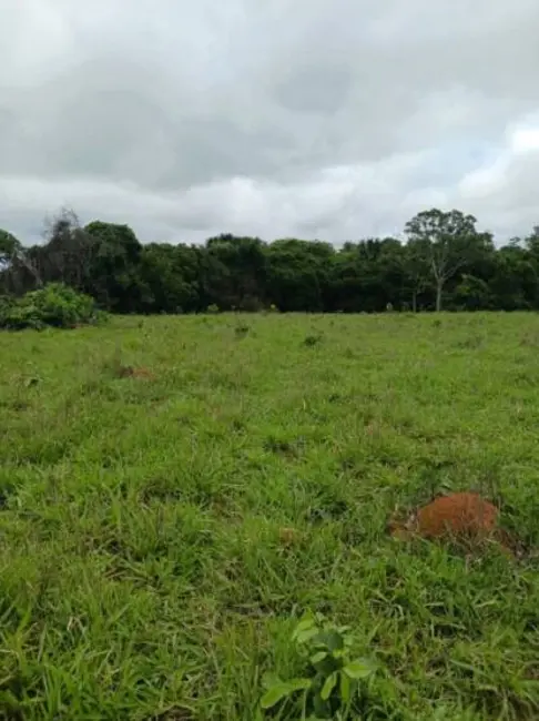 Foto 6 de Chácara à venda, 18m2 em Estrela Do Norte - GO