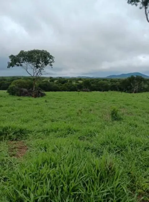 Foto 8 de Chácara à venda, 18m2 em Estrela Do Norte - GO
