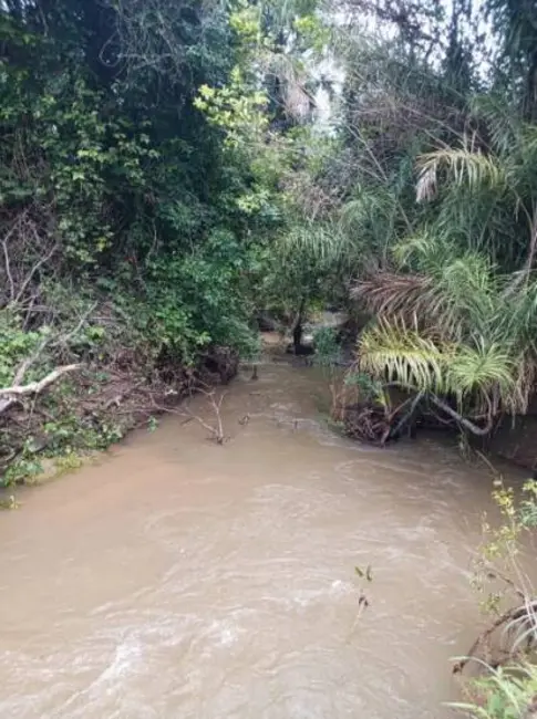 Foto 7 de Chácara à venda, 18m2 em Estrela Do Norte - GO