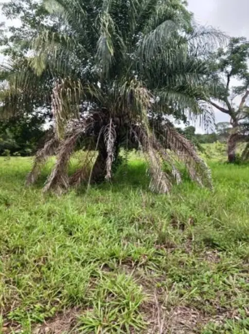Foto 5 de Chácara à venda, 18m2 em Estrela Do Norte - GO