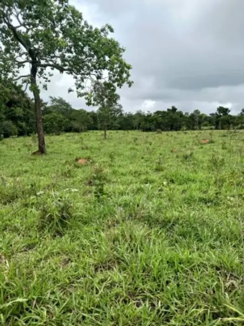 Foto 3 de Chácara à venda, 18m2 em Estrela Do Norte - GO
