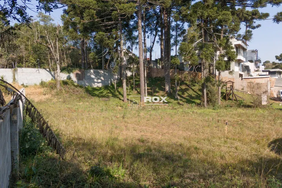 Terreno / Lote à venda, 397m2 em Taboão, Curitiba - PR - imagem 7 Foto 7 de Terreno / Lote à venda, 397m2 em Taboão, Curitiba - PR