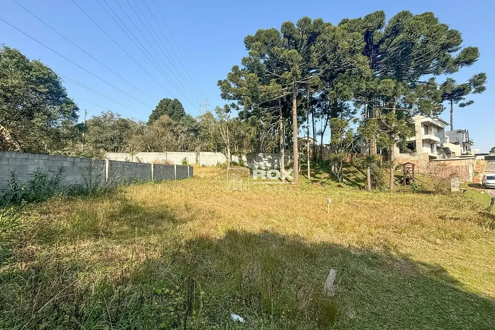 Terreno / Lote à venda, 397m2 em Taboão, Curitiba - PR - imagem 9 Foto 9 de Terreno / Lote à venda, 397m2 em Taboão, Curitiba - PR