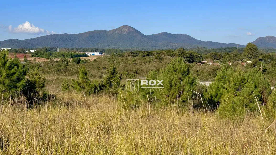 Foto 2 de Terreno / Lote à venda, 3547m2 em Quatro Barras - PR