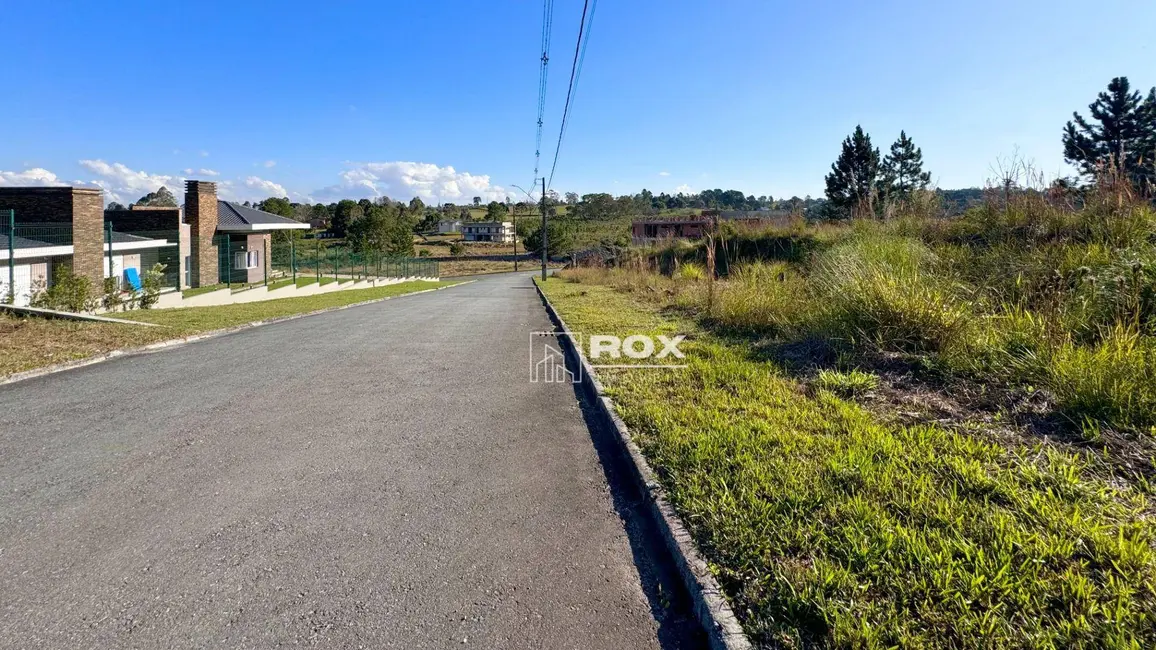 Foto 6 de Terreno / Lote à venda, 3547m2 em Quatro Barras - PR