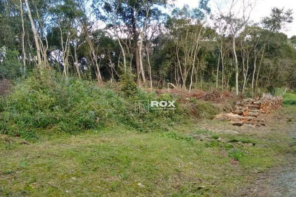 Foto 4 de Terreno / Lote à venda, 495m2 em Santa Felicidade, Curitiba - PR