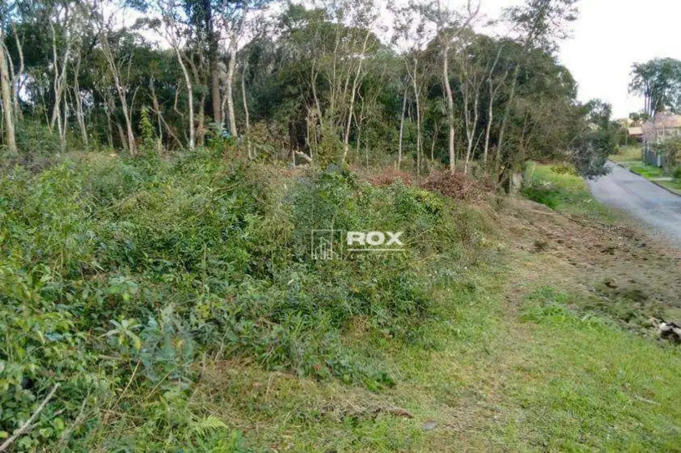 Foto 3 de Terreno / Lote à venda, 495m2 em Santa Felicidade, Curitiba - PR