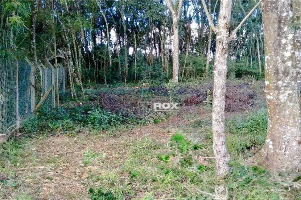Foto 5 de Terreno / Lote à venda, 495m2 em Santa Felicidade, Curitiba - PR