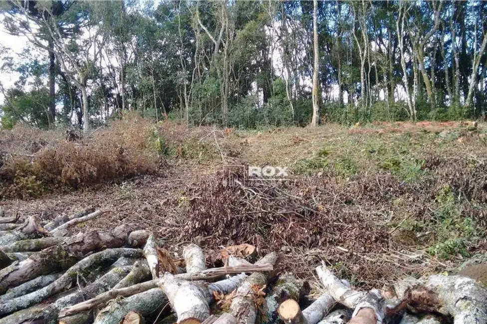 Foto 6 de Terreno / Lote à venda, 495m2 em Santa Felicidade, Curitiba - PR