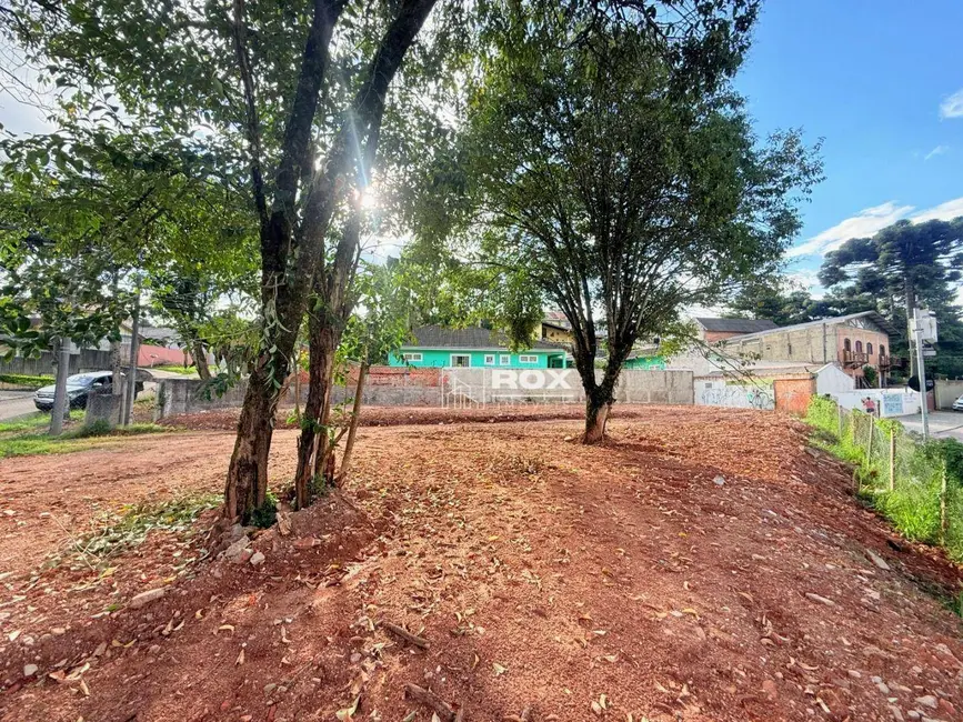Terreno / Lote à venda, 443m2 em Santo Inácio, Curitiba - PR - imagem 8 Foto 8 de Terreno / Lote à venda, 443m2 em Santo Inácio, Curitiba - PR