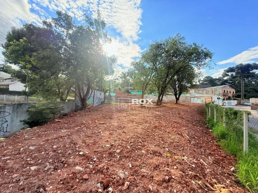 Terreno / Lote à venda, 490m2 em Santo Inácio, Curitiba - PR - imagem 8 Foto 8 de Terreno / Lote à venda, 490m2 em Santo Inácio, Curitiba - PR