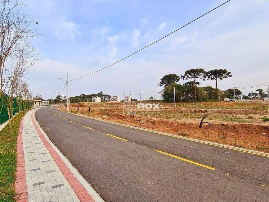 Foto 1 de Terreno / Lote à venda, 245m2 em Costeira, Sao Jose Dos Pinhais - PR