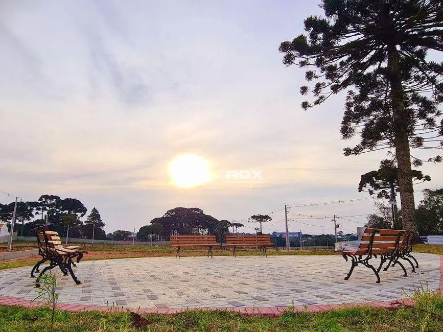 Terreno / Lote à venda, 245m2 em Costeira, Sao Jose Dos Pinhais - PR - imagem 5 Foto 5 de Terreno / Lote à venda, 245m2 em Costeira, Sao Jose Dos Pinhais - PR