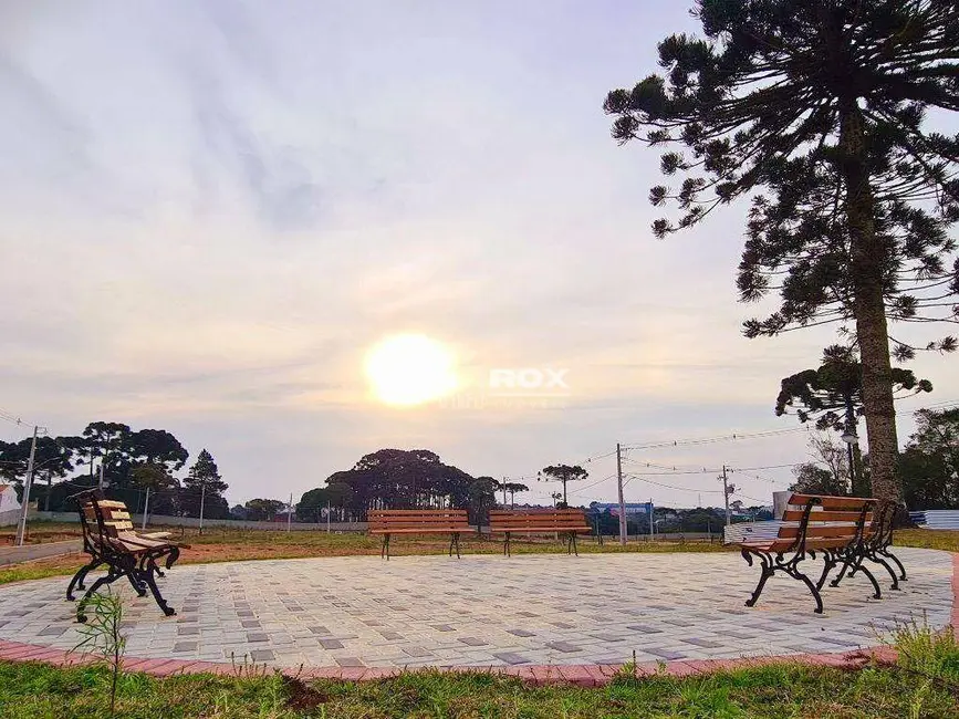 Terreno / Lote à venda, 310m2 em Costeira, Sao Jose Dos Pinhais - PR - imagem 8 Foto 8 de Terreno / Lote à venda, 310m2 em Costeira, Sao Jose Dos Pinhais - PR
