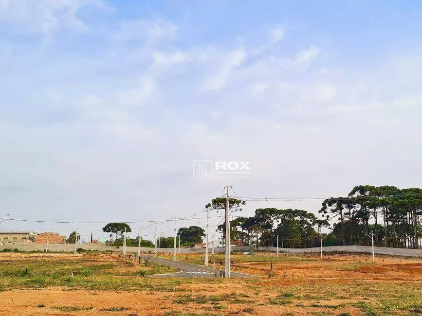 Terreno / Lote à venda, 310m2 em Costeira, Sao Jose Dos Pinhais - PR - imagem 6 Foto 6 de Terreno / Lote à venda, 310m2 em Costeira, Sao Jose Dos Pinhais - PR