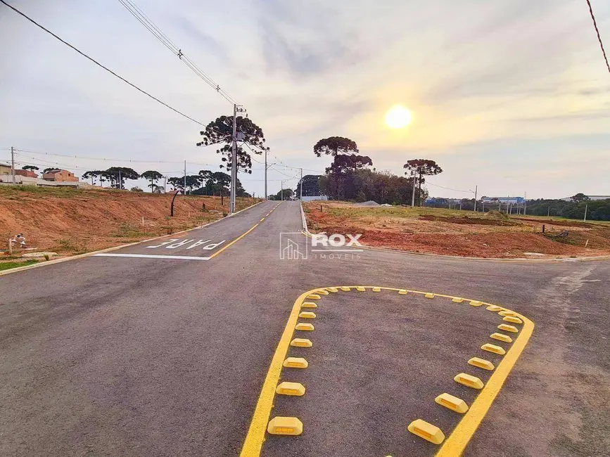 Terreno / Lote à venda, 310m2 em Costeira, Sao Jose Dos Pinhais - PR - imagem 3 Foto 3 de Terreno / Lote à venda, 310m2 em Costeira, Sao Jose Dos Pinhais - PR