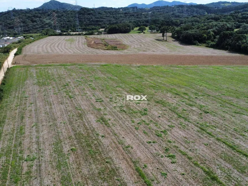 Terreno / Lote à venda, 22000m2 em Salgadinho, Campo Largo - PR - imagem 6 Foto 6 de Terreno / Lote à venda, 22000m2 em Salgadinho, Campo Largo - PR