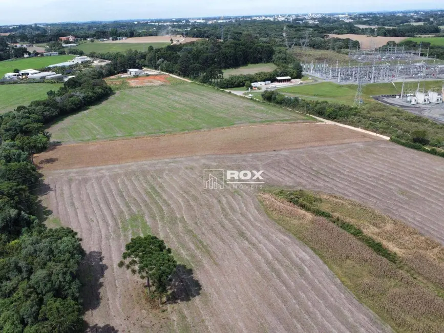Terreno / Lote à venda, 22000m2 em Salgadinho, Campo Largo - PR - imagem 5 Foto 5 de Terreno / Lote à venda, 22000m2 em Salgadinho, Campo Largo - PR