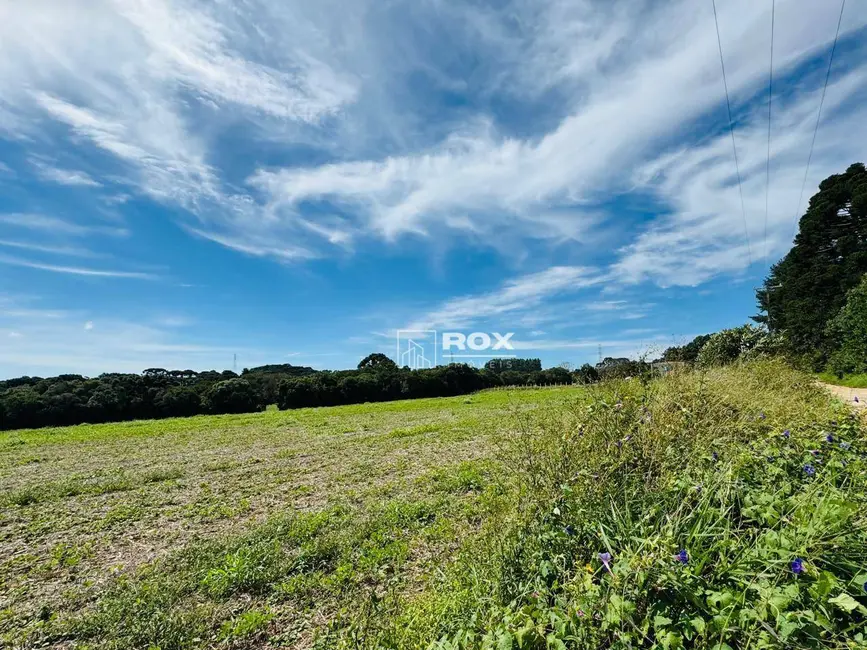Terreno / Lote à venda, 22000m2 em Salgadinho, Campo Largo - PR - imagem 9 Foto 9 de Terreno / Lote à venda, 22000m2 em Salgadinho, Campo Largo - PR