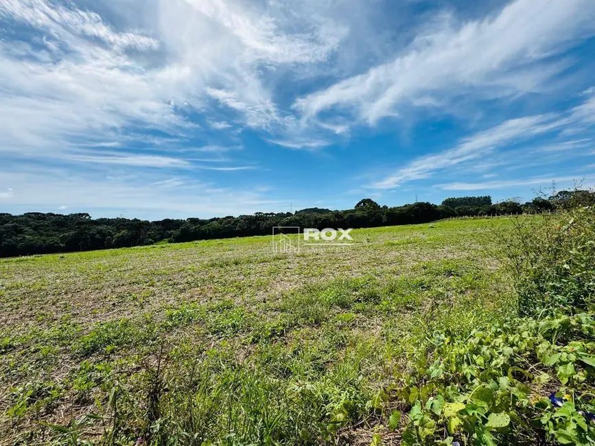 Terreno / Lote à venda, 22000m2 em Salgadinho, Campo Largo - PR - imagem 8 Foto 8 de Terreno / Lote à venda, 22000m2 em Salgadinho, Campo Largo - PR
