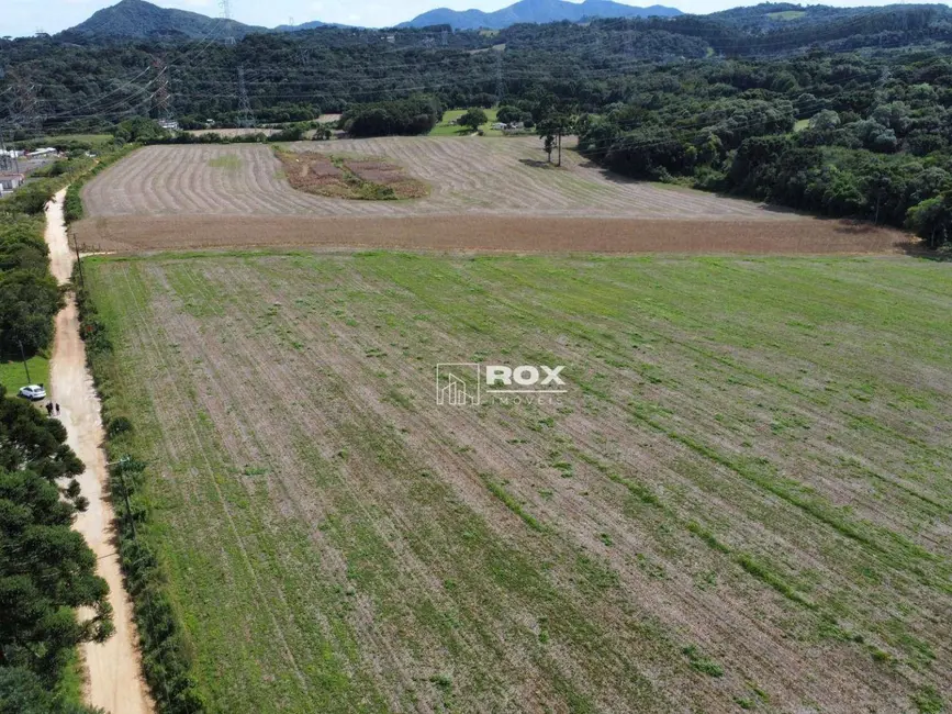 Foto 2 de Terreno / Lote à venda, 22000m2 em Salgadinho, Campo Largo - PR