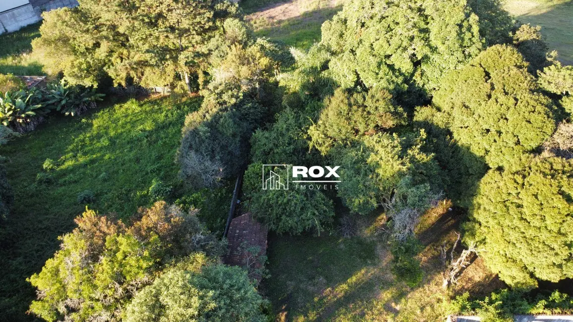 Foto 3 de Terreno / Lote à venda, 1938m2 em Orleans, Curitiba - PR