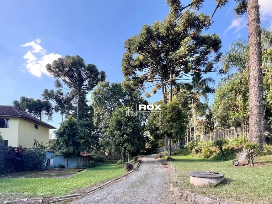 Foto 8 de Casa com 4 quartos à venda, 2198m2 em Campo Comprido, Curitiba - PR