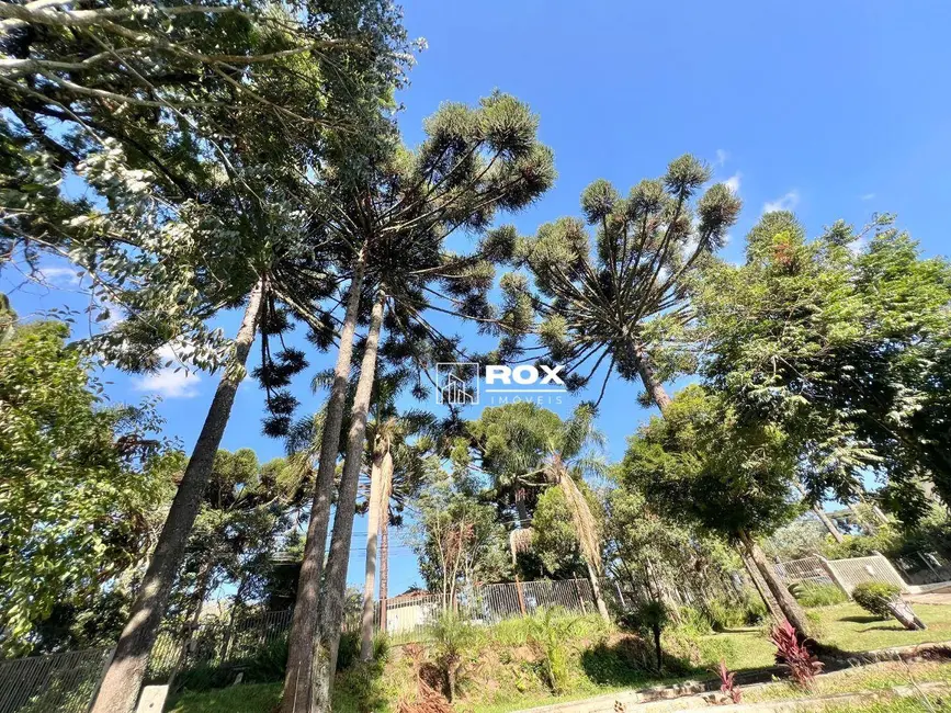Foto 5 de Casa com 4 quartos à venda, 2198m2 em Campo Comprido, Curitiba - PR
