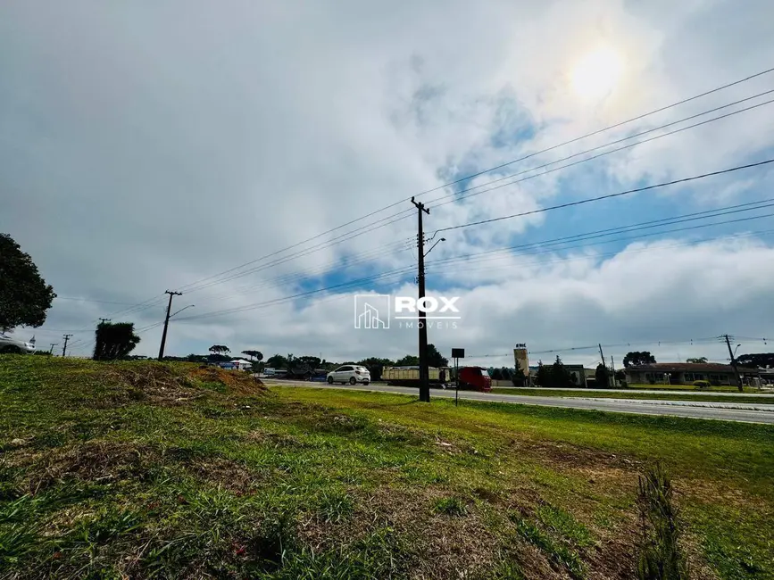 Terreno / Lote à venda, 4132m2 em Rondinha, Campo Largo - PR - imagem 9 Foto 9 de Terreno / Lote à venda, 4132m2 em Rondinha, Campo Largo - PR