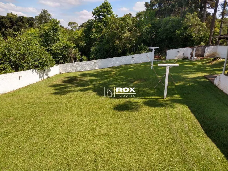 Terreno / Lote à venda, 4132m2 em Rondinha, Campo Largo - PR - imagem 8 Foto 8 de Terreno / Lote à venda, 4132m2 em Rondinha, Campo Largo - PR