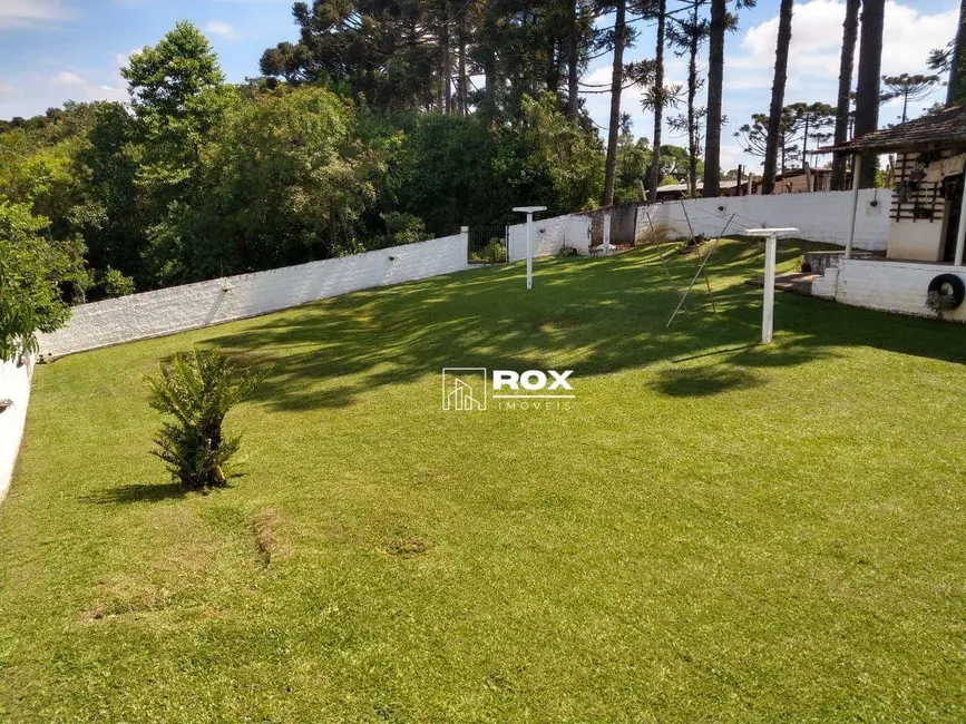 Terreno / Lote à venda, 4132m2 em Rondinha, Campo Largo - PR - imagem 7 Foto 7 de Terreno / Lote à venda, 4132m2 em Rondinha, Campo Largo - PR