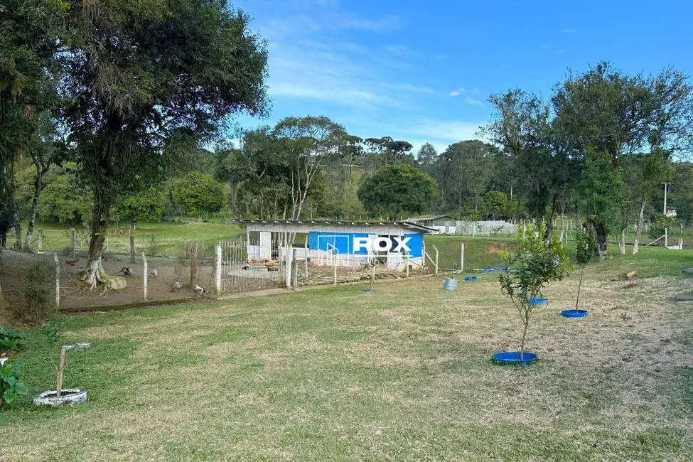 Foto 6 de Chácara com 6 quartos à venda, 192000m2 em Bocaiuva Do Sul - PR