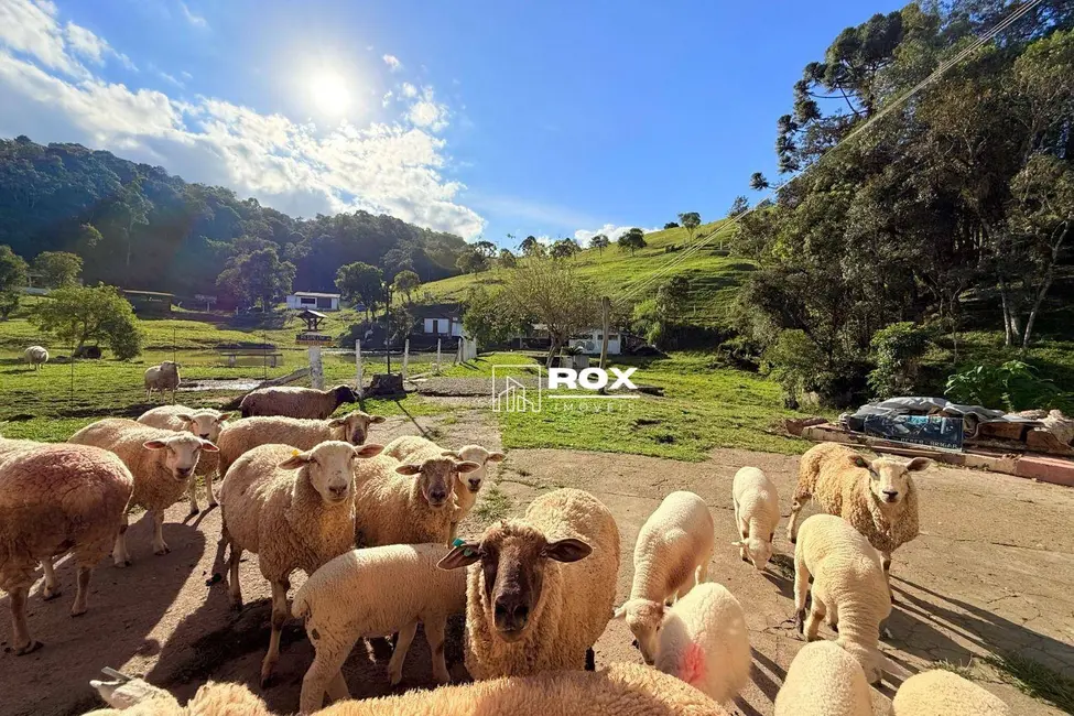 Foto 5 de Chácara com 6 quartos à venda, 192000m2 em Bocaiuva Do Sul - PR