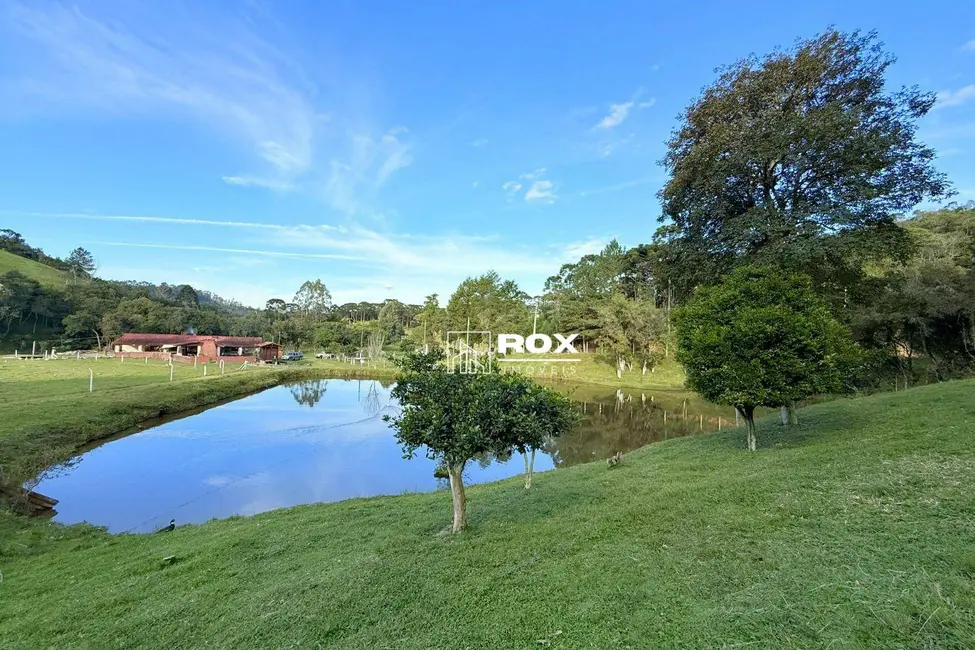 Foto 3 de Chácara com 6 quartos à venda, 192000m2 em Bocaiuva Do Sul - PR