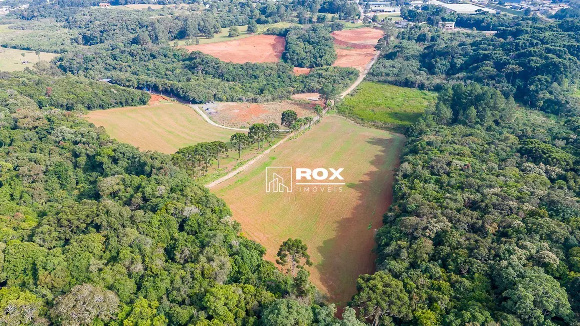 Terreno / Lote à venda, 1544833m2 em Zacarias, Sao Jose Dos Pinhais - PR - imagem 8 Foto 8 de Terreno / Lote à venda, 1544833m2 em Zacarias, Sao Jose Dos Pinhais - PR