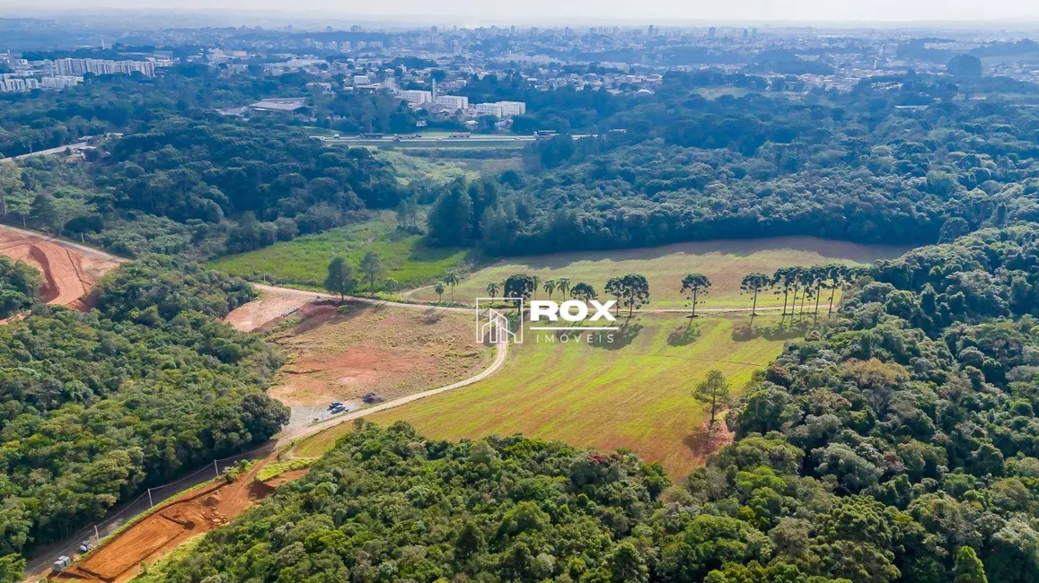 Foto 10 de Terreno / Lote à venda, 1544833m2 em Zacarias, Sao Jose Dos Pinhais - PR