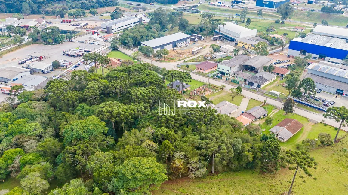 Terreno / Lote à venda, 8000m2 em Zacarias, Sao Jose Dos Pinhais - PR - imagem 9 Foto 9 de Terreno / Lote à venda, 8000m2 em Zacarias, Sao Jose Dos Pinhais - PR