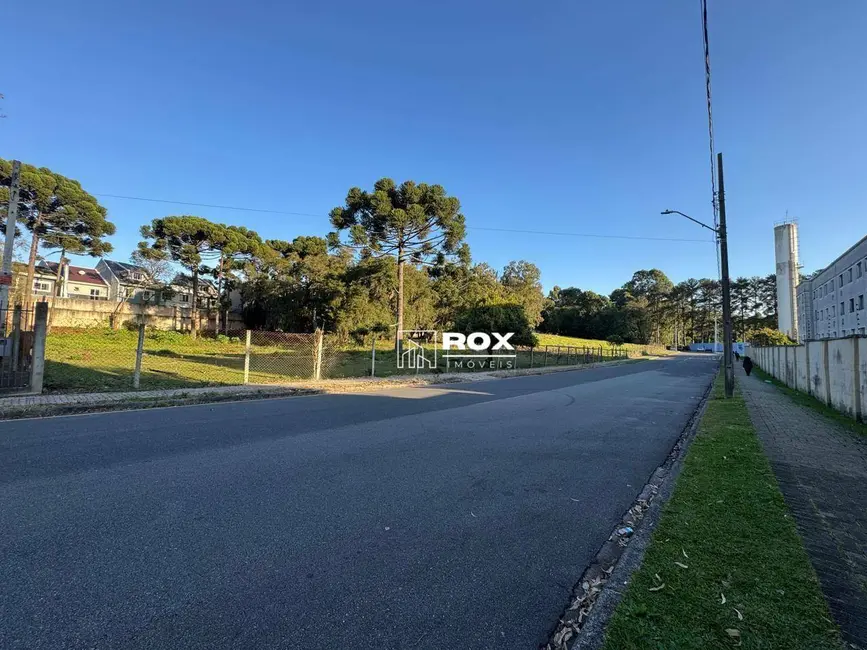 Foto 3 de Terreno / Lote à venda, 3289m2 em Pinheirinho, Curitiba - PR