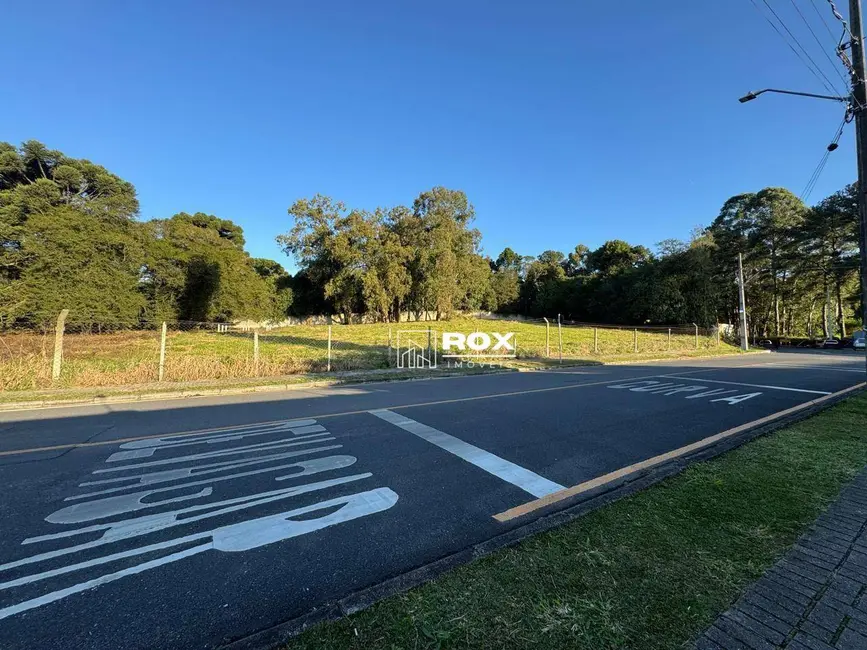 Foto 7 de Terreno / Lote à venda, 3289m2 em Pinheirinho, Curitiba - PR