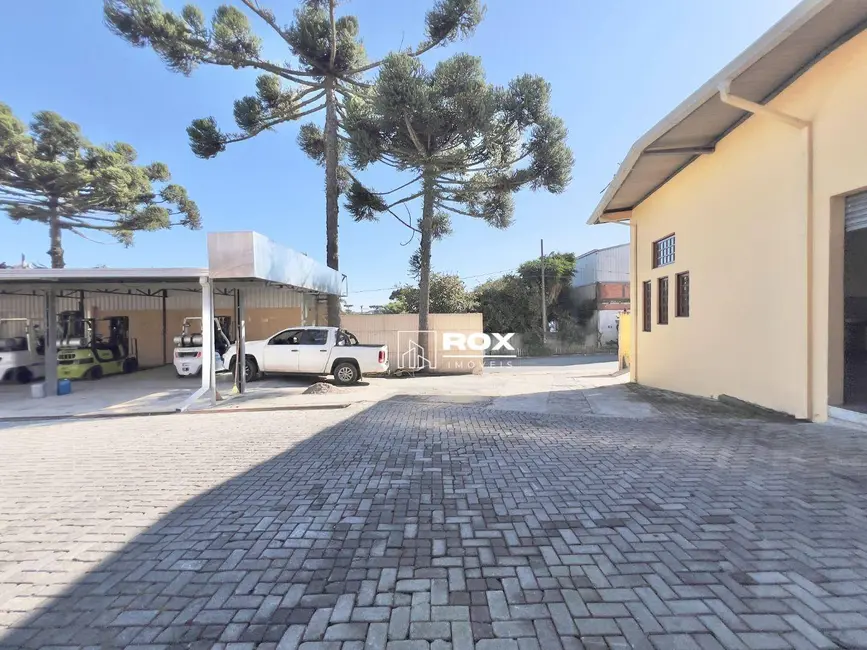 Foto 19 de Casa para alugar, 2000m2 em Mossunguê, Curitiba - PR