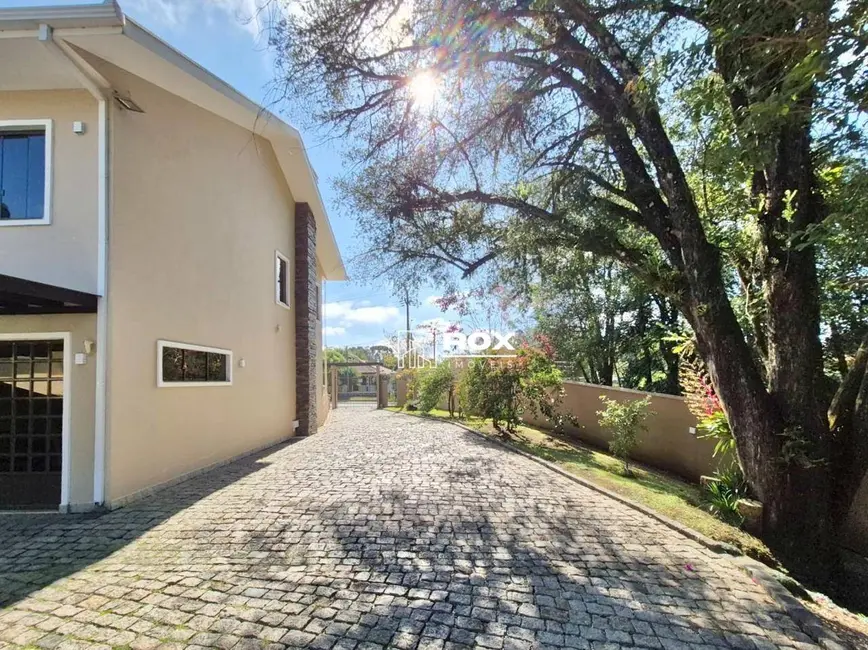 Chácara com 3 quartos à venda, 3500m2 em São João, Colombo - PR - imagem 7 Foto 7 de Chácara com 3 quartos à venda, 3500m2 em São João, Colombo - PR