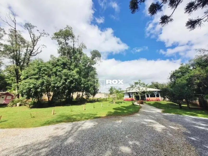 Chácara com 3 quartos à venda, 3500m2 em São João, Colombo - PR - imagem 9 Foto 9 de Chácara com 3 quartos à venda, 3500m2 em São João, Colombo - PR