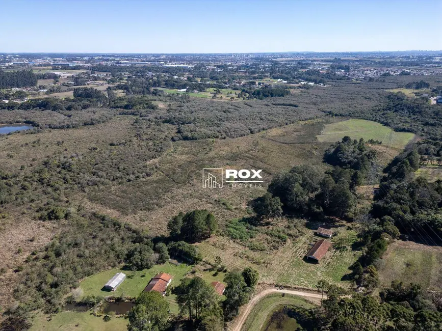 Foto 11 de Terreno / Lote à venda, 268837m2 em Roseira, Sao Jose Dos Pinhais - PR