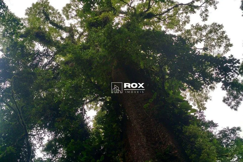 Terreno / Lote à venda, 4779486m2 em Campina Grande Do Sul - PR - imagem 4 Foto 4 de Terreno / Lote à venda, 4779486m2 em Campina Grande Do Sul - PR