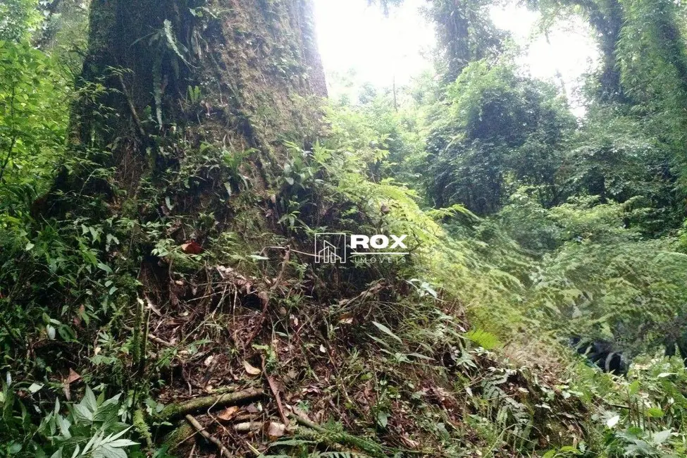 Terreno / Lote à venda, 4779486m2 em Campina Grande Do Sul - PR - imagem 6 Foto 6 de Terreno / Lote à venda, 4779486m2 em Campina Grande Do Sul - PR