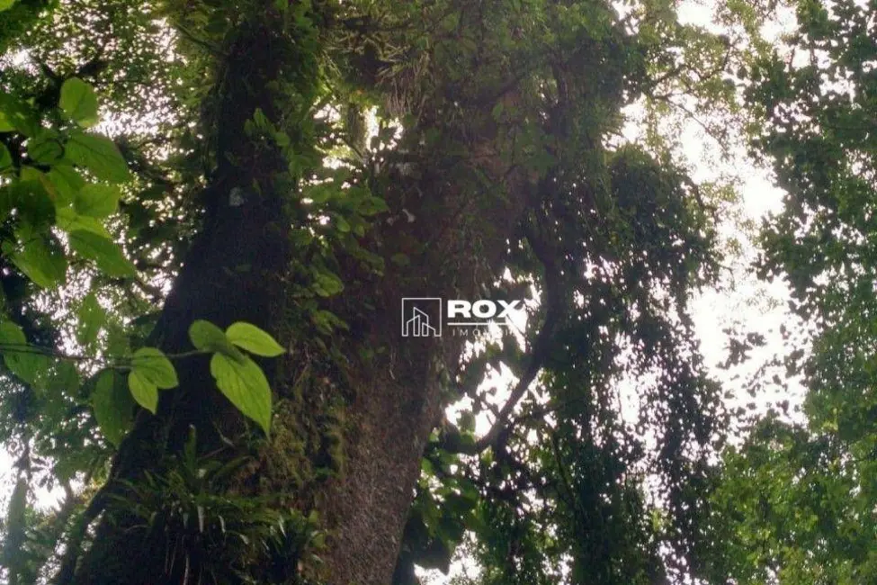 Terreno / Lote à venda, 4779486m2 em Campina Grande Do Sul - PR - imagem 5 Foto 5 de Terreno / Lote à venda, 4779486m2 em Campina Grande Do Sul - PR